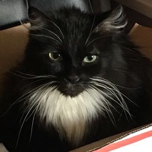 Meet your Posher, Katelyn